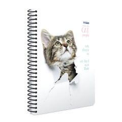 Gıpta Cat A4 80 Yaprak Çizgili Spiralli Karton Kapaklı Defter