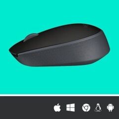 Logitech 910-004424 M171 Siyah Kablosuz Mouse