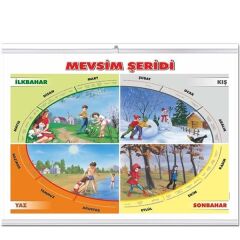 Gülpaş 333 57X8 Çıtalı Selefonlu Mevsim Şeridi