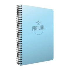 Gıpta Now A4 120 Yaprak Kareli Spiralli Plastik Kapak Defter