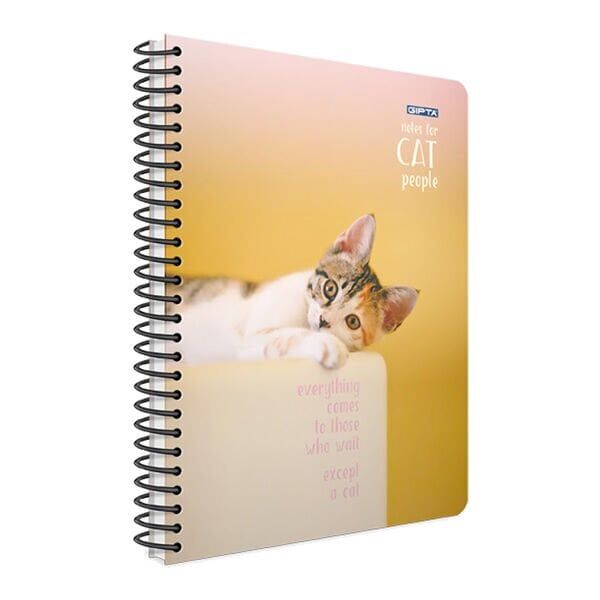 Gıpta Cat A4 100 Yaprak Çizgili Spiralli Karton Kapak Defter