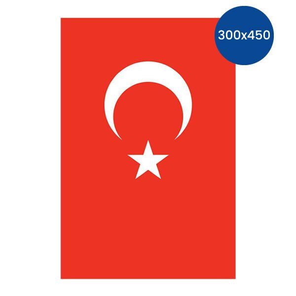 Yükselen 300x450 Bayrak