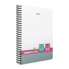 Gıpta Evernote A4 100 Yaprak Çizgili Spiralli Defter