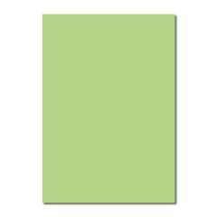 Sınar 41A 50x70 120 gr Yeşil Fon Kartonu