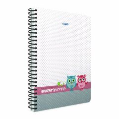 Gıpta Evernote A4 80 Yaprak Kareli Spiralli Defter