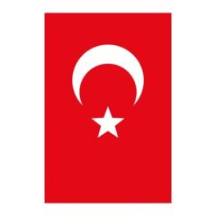 Yükselen 80x120 Bayrak