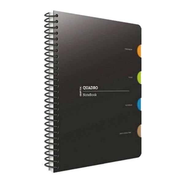 Gıpta Quadro A4 150 Yaprak Çizgili 4 Seperatörlü Spiralli Plastik Kapaklı Defter