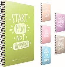 Gıpta Clever A4 100 Yaprak Çizgili Plastik Kapaklı Defter