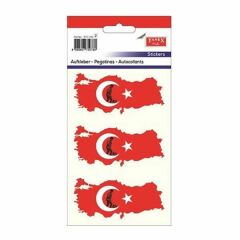 Tanex STC-163 2 li Türkiye Gravür Etiketi