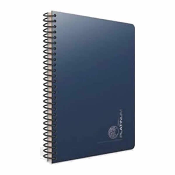 Gıpta Platinum 17x24 100 Yaprak Çizgli Plastik Kapaklı Defter