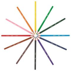 Bic 82902914 12 li Evolution Kuru Boya Kalemi (82902914)