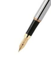 Scrikss 39 Gold Krom Dolma Kalem