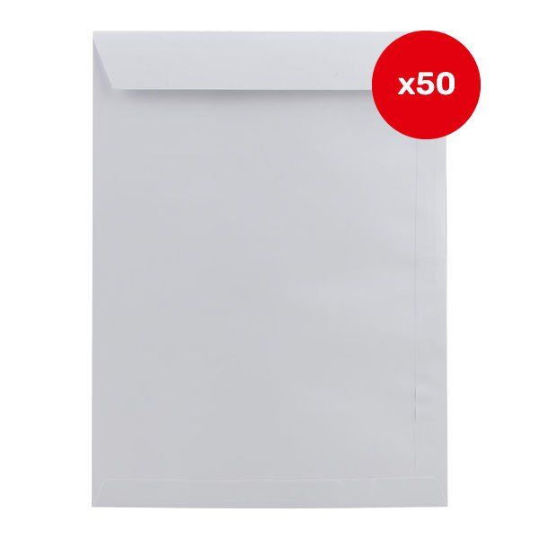 Oyal 16,9x22,9 50 li Tyvek Silikon Zarf
