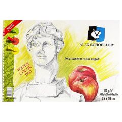 Alex Schoeller 35x50 cm 15 Yaprak 120 gr Spiralli Resim Defteri
